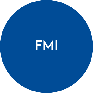 fmi wiki link