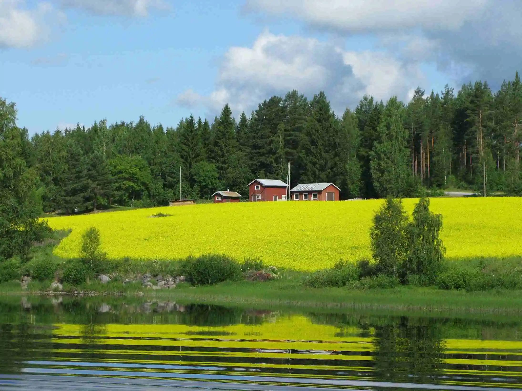 houses-trees-beautiful-grass-covered-hill-by-lake-captured-finland https://economia.wiki/paises/finlandia-el-pais-con-los-mejores-resultados-educativos-de-la-ocde/